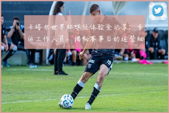 卡塔尔世界杯球场体验全记录：专访工作人员，揭秘赛事日的运营细节