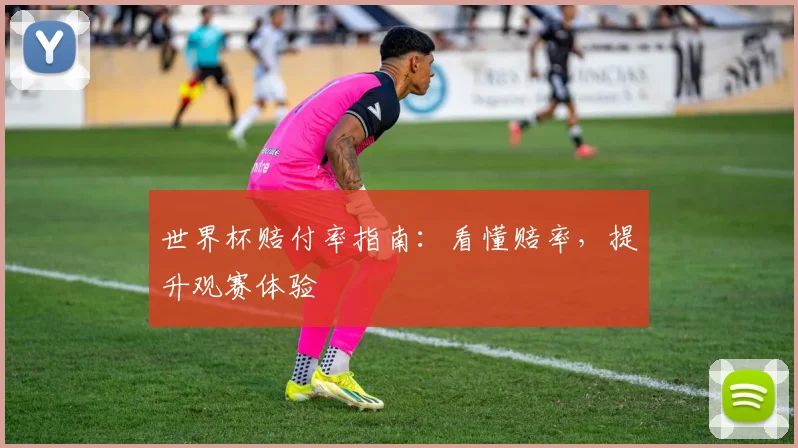 世界杯赔付率指南:看懂赔率,提升观赛体验