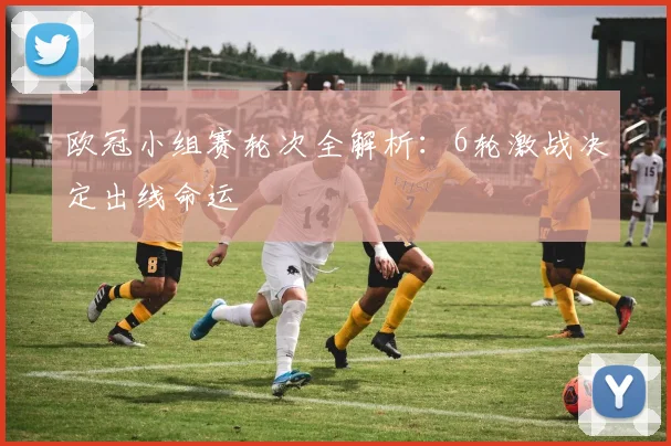 欧冠小组赛轮次全解析：6轮激战决定出线命运